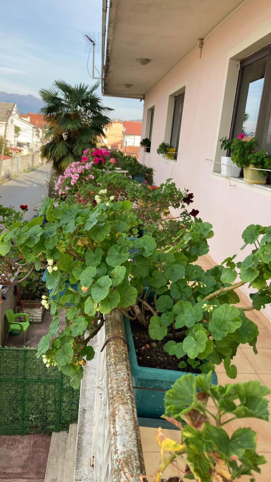 Blissful Hostel Shkoder Luaran gambar