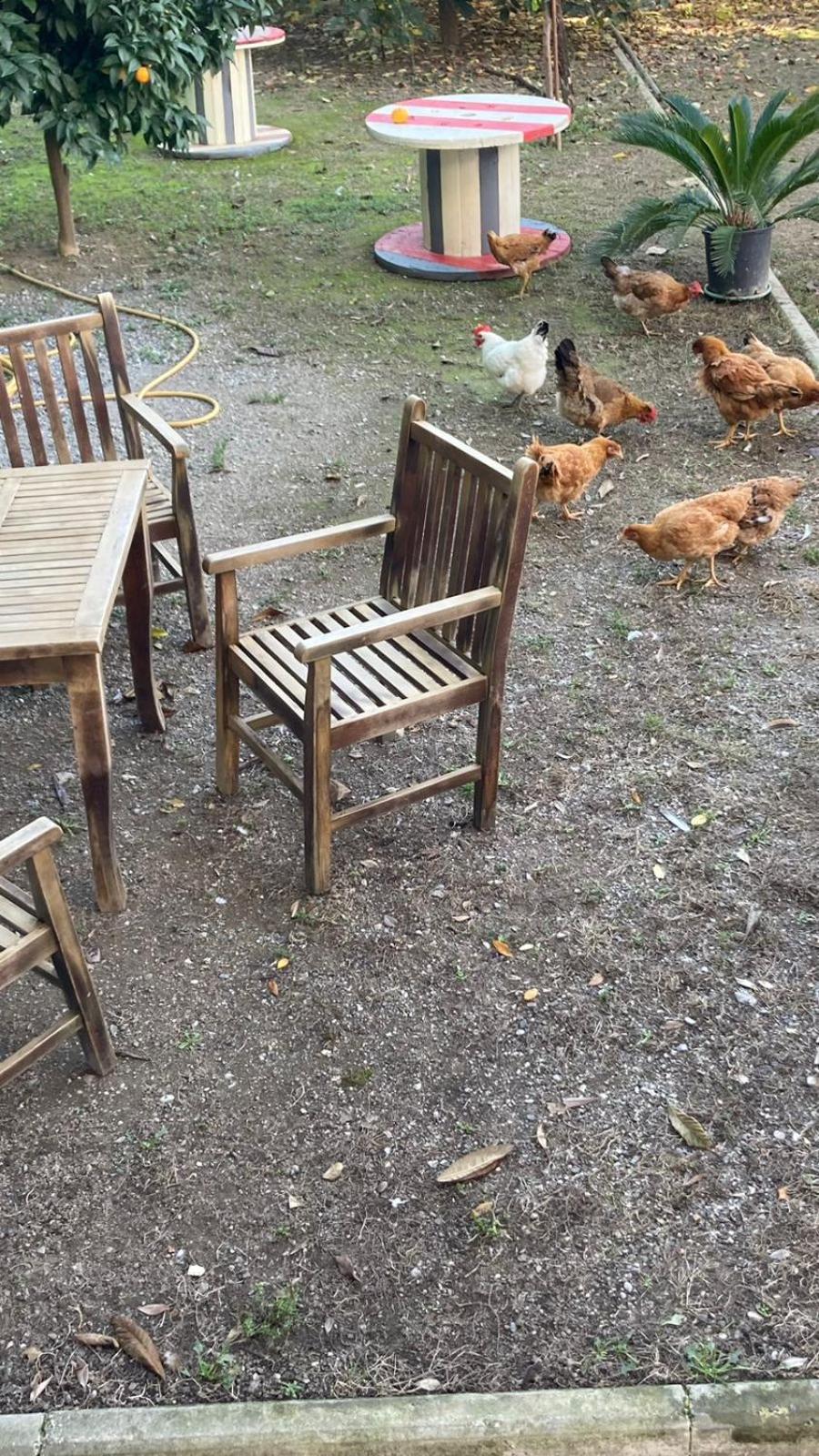 Blissful Hostel Shkoder Luaran gambar